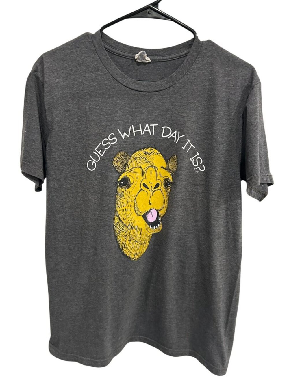 Guess Large What Day It Is Geico Gray Graphic T-Shirt Delta Ringspun Retro Camp